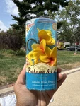 Bahama & Co Aruba Blue Breeze Floral Lei Necklace Home / Car Air Freshener. Fixed Price $16.99.