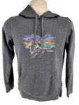 Patagonia Raindrop Peak Ahnya Hoodie Womens Gray Organic Cotton Pullover. Fixed Price $25.46.