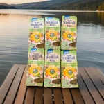 Glade Plugins Scented Oil Refills 6 Suddenly Spring. Fixed Price $27.29.
