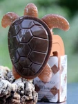 Bath & Body Works Wallflower Plug In Sea Turtle Brown Sparkle. Fixed Price $18.99.