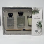 Martha Stewart Winter Evergreen Home Fragrance Gift Set Candle Diffuser Spray. Fixed Price $28.00.