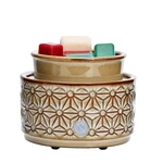 Asawasa Ceramic Melt Warmer Electric For Scented WAX,3 In 1. Fixed Price $17.79.