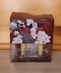Signature Collection Wallflowers Japanese Cherry Blossom 2 Pack Diffuser Refills. Fixed Price $14.25.