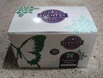 Scentsy Scented Oil Fragrance Flower Buttercup Bell Very Snowy Spruce. Fixed Price $21.00.