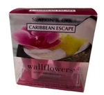 Slatkin & Co. Caribbean Escape Wallflowers Fragrance Refills 2BULBS 1 Box New. Fixed Price $39.99.