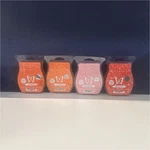 Rare Scentsy Retired Wax Bar Bundle Lot Of 4 Ruby Nectarine Hey Tiger Lily Rise+. Fixed Price $20.00.