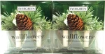 Bath Body Works Slatkin Evergreen Wallflower Refills, New 2 Boxes. Fixed Price $29.99.