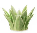 Scentsy Aloe Vera Green Succulent Plant Wax Warmer - Missing Glass Plate. Fixed Price $24.99.