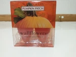 Slatkin & Co Wallflowers Refills Pumpkin Patch Pack Of 2 Bulbs Home Fragrance. Fixed Price $18.14.
