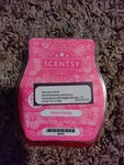 Scentsy Aloha Orchid Wax Warmer Bar 2.6OZ #82916 - Brand New. Fixed Price $7.75.