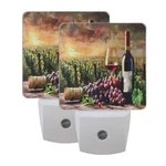 Grapes Wine Glass Bottle Lights 2 Pack Plug-in Wall Led Auto.... Fixed Price $28.39.