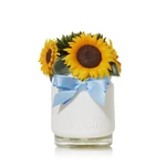 Yankee Candle Sunflowers With Light Sensor Scentplug Diffuser. Fixed Price $26.99.