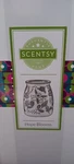 Scentsy Hope Blooms Warmer Blue White Floral Country Vintage Fall Inspirational. Fixed Price $35.00.