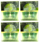 Bath & Body Works Wallflower Home Fragrance Island Margarita 8 Refills New. Fixed Price $69.99.