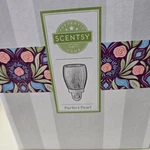 Scentsy Perfect Pearl Iridescent Glass Wall Plug Mini Warmer. Fixed Price $18.00.