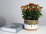 Better Homes & Gardens Pottery 8" Nikolaos Ceramic Planter, Black. Fixed Price $15.56.