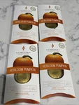 Luminara Fragrance Refill Pod For Diffusing Candle Heirloom Pumpkin X 4, New. Fixed Price $25.99.
