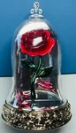 *new* Disney Princess Belle Scent Control Wallflower Plug Bath & Body Works. Fixed Price $48.00.