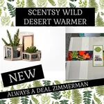 Scentsy Wild Desert Full Size Warmer (new In Box) Cactus Faux Succulents Stones. Fixed Price $62.72.