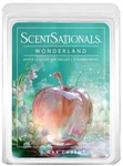 1 Scentsationals Wonderland Highly Scented Wax Melts Cubes 2.5 Oz. Fixed Price $5.51.