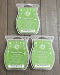 Peppermint Dreams Scentsy Bar Candle Tart Warmer Scented Wax 3.2 Oz 3-PACK New!. Fixed Price $19.99.