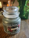 Rainforest 14.5 Oz Yankee Candle Black Band House Warmer Jar New Rare. Fixed Price $37.99.