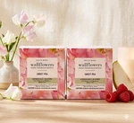 4 X Bath & Body Works Sweet Pea Wallflower Fragrance Refills/bulbs. Fixed Price $26.95.
