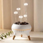 Essential Oil Diffuser For Home, Bedroom Humidifiers, Air Scent Aromathera. Fixed Price $41.71.