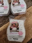 New Scentsy Birthday Wishes Wax Warmer Bar **discontinued**. Fixed Price $8.00.