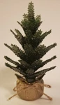Bath & Body Works Cozy Pine Tree Wallflower Fragrance Plug. Fixed Price $16.99.