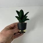 Bath & Body Works Potted Botanical Plant Wallflower Fragrance Plug Holder. Fixed Price $19.72.