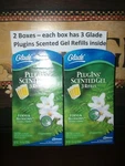Glade Ferns & Blossoms Plugins Scented Refills 2 Boxes 3 Each. Fixed Price $29.77.