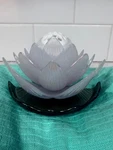 Bath And Body 2025 Retired Disney Princess Light Up Wallflower Plug. Fixed Price $35.00.