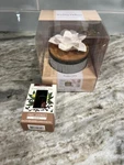 Fusion Essential Oil Wicking Diffuser With Relaxing Clove New. Fixed Price $25.00.