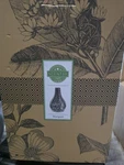 Scentsy Shade Only For Stargaze Teardrop Diffuser Light- Display. Fixed Price $35.00.