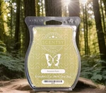 Scentsy Brick Wax Bar Amazon Rain 3.2 Oz New. Fixed Price $7.99.