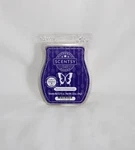 Scentsy Wax Bars Blueberry Cheesecake 3.2 Fl Oz New. Fixed Price $9.26.