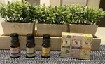 Beekman 802 Happy Place 3-PK Essential OILS.33 Nib Lavender Citrus Sweet Grass. Fixed Price $14.00.