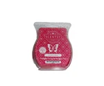 Scentsy Wax Bars - Cinninmon Bear For Warmer 8 Individual Cubes New. Fixed Price $8.99.