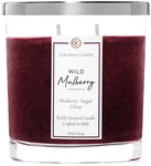 Colonial Candle Wild Mulberry Scented Classic Large Oval Jar, Burgundy. Fixed Price $31.55.