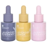 Sparoom Lavender Twist Essential Oil 3PK 7.4ML. Fixed Price $36.39.