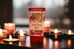 Glade The Fragrance Collection Currants & Acai Scented Reed Diffuser New Nos. Fixed Price $29.99.