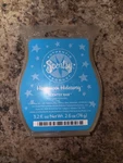 New Scentsy Honeymoon Hideaway Wax Bar 3.2 Fl Oz Home Fragrance. Fixed Price $9.50.