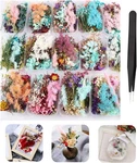 4 Pas Real Natural Dried Flowers For Making Mobile Pe Case Candle. Fixed Price $18.19.