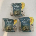 Glade Plug Ins Scented Oil Warm Flannel Embrace Limited 3 Pack X (9) Read. Fixed Price $199.99.