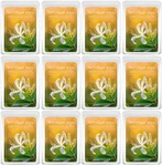 12 Scentsationals Honeysuckle Nectar Highly Scented Wax Melts Cubes 2.5 Oz. Fixed Price $36.77.