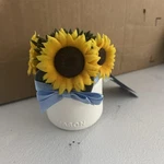 Yankee Candle Sunflowers With Light Sensor Scentplug Diffuser. Fixed Price $15.99.