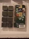 Glade Limited Edition Balsam & Spruce Wax Melts - 2 Packs 16. Fixed Price $12.00.