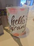 Scentsy Hello Spring Wax Warmer Shade With Ceramic Base, New Box. Fixed Price $21.00.