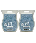 Scentsy Wax Bars Saguaro Desert Rain Discontinued 2 Pack, Ships W/ Icepack. Fixed Price $16.40.